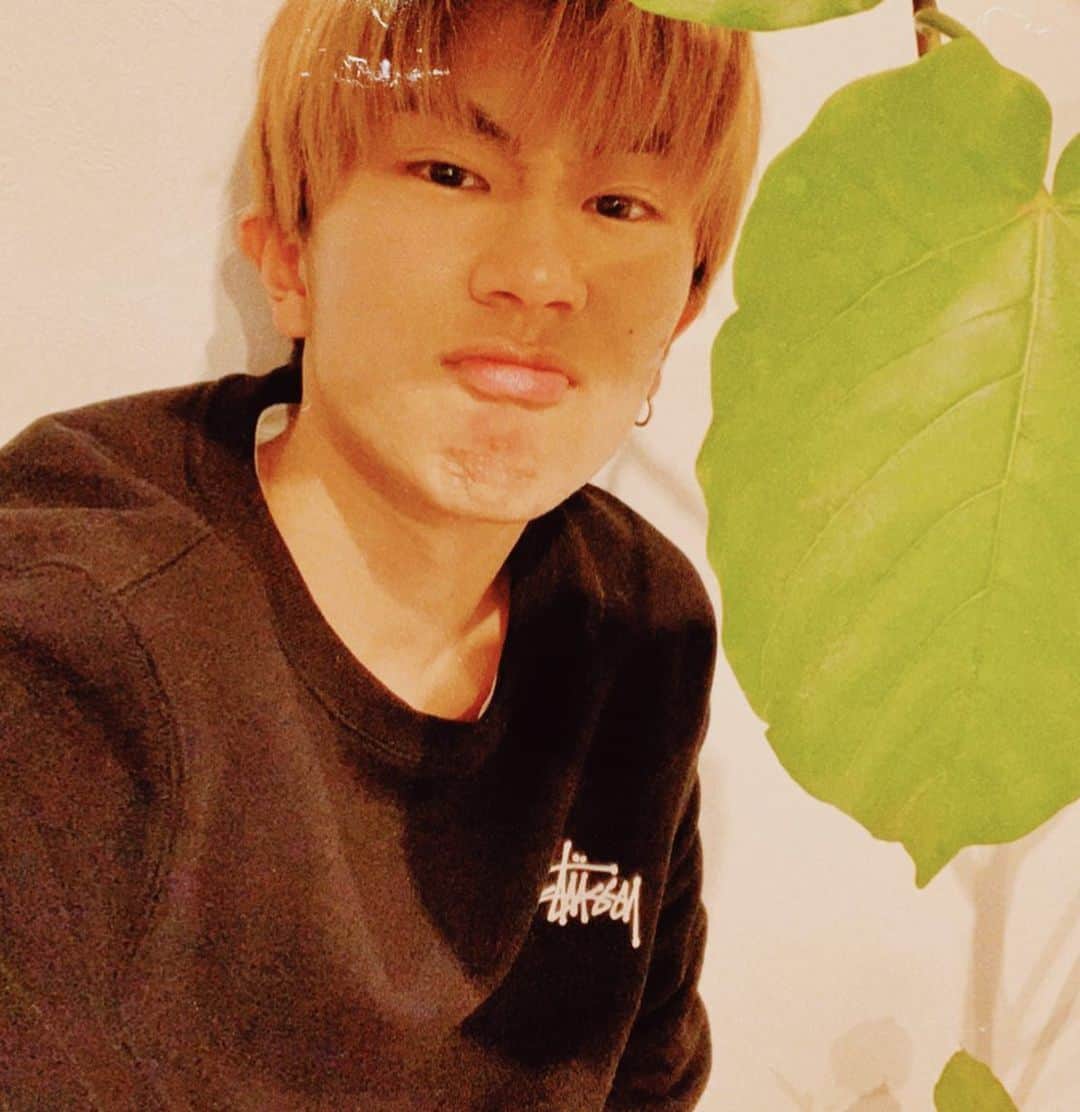 高根正樹のインスタグラム：「🐵🪴」