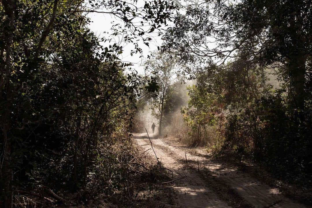 AFP通信さんのインスタグラム写真 - (AFP通信Instagram)「#AFPrepost 📷 @johngingerwessels - Since 1982 the MFDC has been fighting for the indépendance of the Casamance region, government troops just took a historic base deep in the Blaze Forest, not much was left behind beside archaic weapons and underground bunkers and marijuana fields - Casamance, 2021. #casamance #mfdc #senegal #independance  #conflict #afp #afpphoto #reportage #reportagespotlight #rebels #military」2月10日 18時17分 - afpphoto