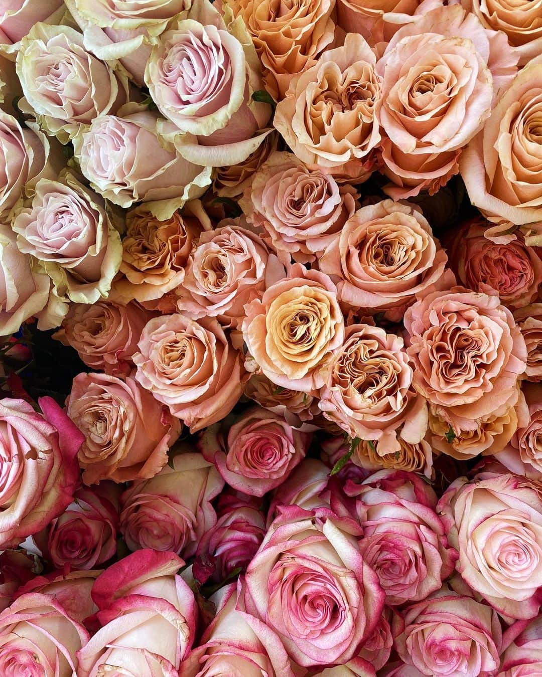 ジュリー・サリニャーナのインスタグラム：「Who still reads blogs? ❤️ I started my fashion blog, Sincerely Jules, 12 years ago this month back in Feb 2009- pre social media! (Still can’t believe it’s been over a decade! 😭 those are happy/proud tears btw!) I was attending FIDM at the time and majoring in Visual Communications and juggling an internship at WGSN and assisting a celebrity stylist here and there and also working at a nail salon! I wanted to do my own thing creatively aside from school projects so my sister @ari.sari.loves suggested starting a fashion blog! After a couple of days of thinking what I could call it, I came up with Sincerely Jules as a way to sign off each post (almost like a diary!) It started off purely as a creative outlet to share things I liked, write about what I was into and share my ootd’s even though at the time I still didn’t understand why people loved to see photos of what I was wearing! I joined other popular platforms at the time too like Chictopia, Lookbook.Nu and Polyvore which helped grow my audience! I treated it as a personal diary where I would get away from school work and just feel a sense of passion and freedom whenever I would write a new post. It was pure love & dedication, it truly made me so happy to have it! There was no sponsored posts, no gifting, no traveling, no fashion weeks, no front rows, no magazine features, no personal appearances, no collaborations, no agents, none of that when I started. So it made all of this that much more special to do! It was just about having a blog and posting things that we were passionate about and loved. Never in a million years did I think this could possibly turn into something more than just a blog. It’s definitely been a journey to grow my blog into what it is now, but trust me there has been so many ups & downs, so many sacrifices, so many tears, so many struggles, so many lessons learned and difficult roads but in the end, it’s been the most beautiful journey I’ve ever been on! Happy 12yr Anniversary to my beloved ol’ little SJ blog! 💕 THANK YOU to all of you for following my life, work and journey! I wouldn’t be where I am if it weren’t for you, I’m forever grateful for you! I love you my SJ dreamers!」
