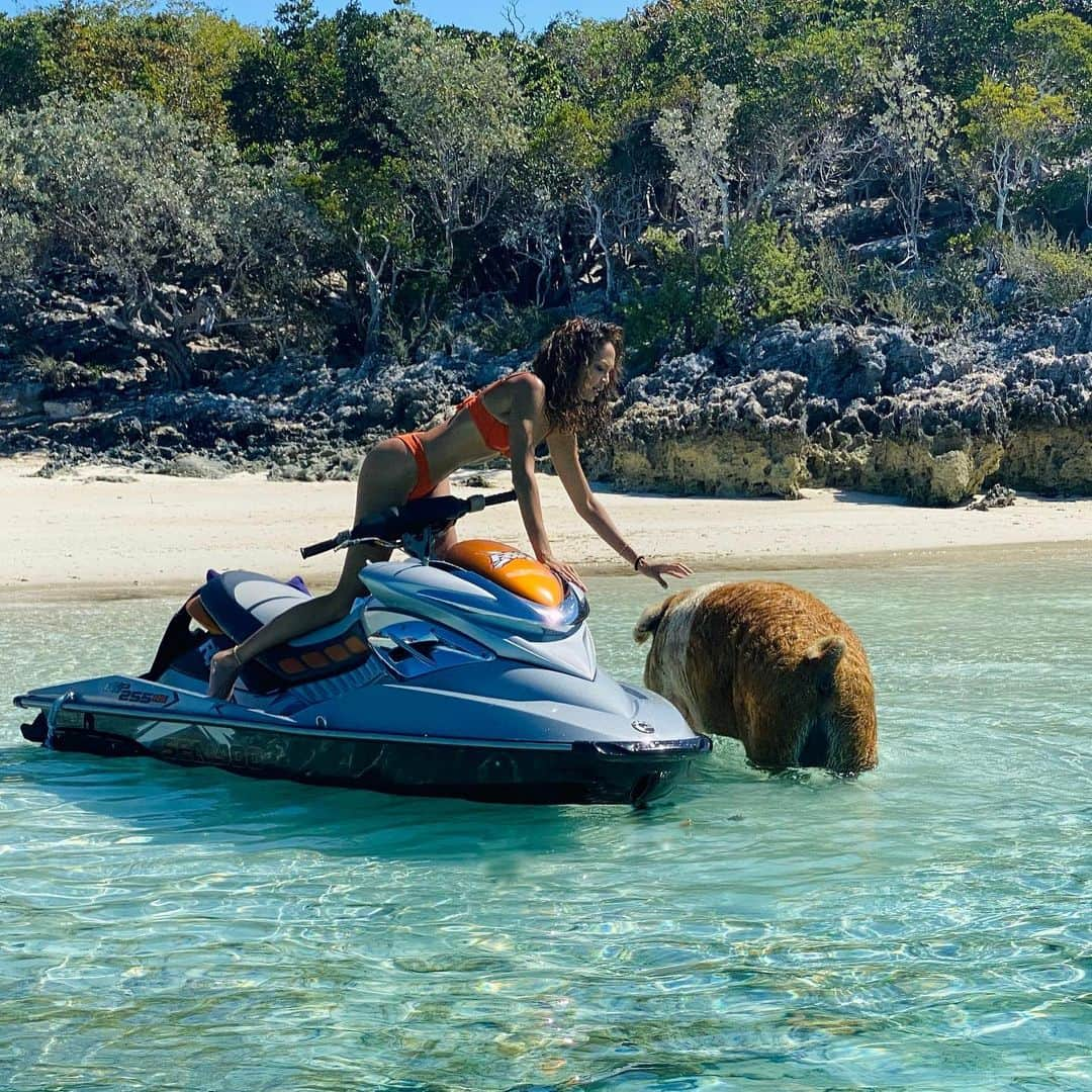 ジョアン・スモールズさんのインスタグラム写真 - (ジョアン・スモールズInstagram)「This time, actually chilling with some pigs 🐷 #catchtheshade」2月11日 4時33分 - joansmalls