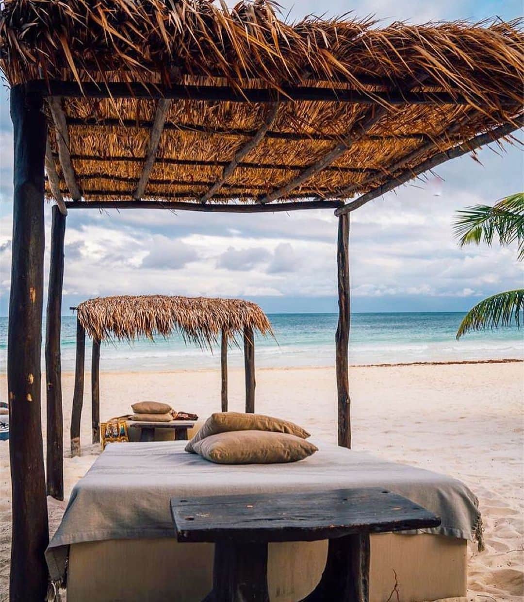 のインスタグラム：「Woke up in a Nest on the beach.  @nesttulum」