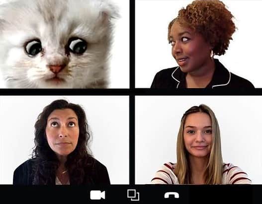 Bloomingdale'sのインスタグラム：「We’re here. We’re live. We’re not a cat (we think) 😸」
