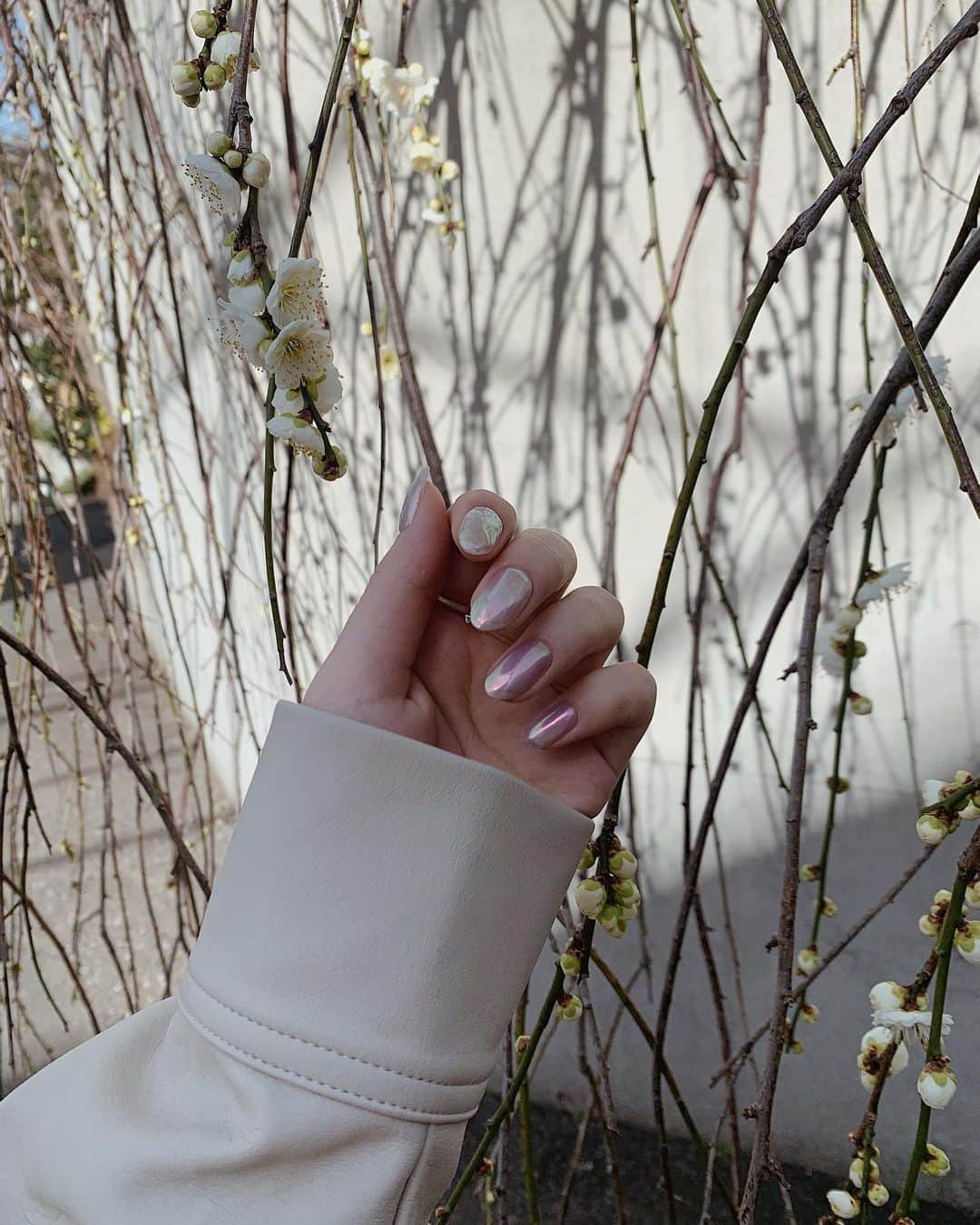 浪花ほのかのインスタグラム：「久しぶりにナチュラルネイル🤚🏼💗 それと 最近もご飯は作ってるんですけど、、全く投稿せずで、、、🤫 2枚目のミートスパゲッティーは少し前のストーリーでレシピを載せてるんですけど、、、今回は材料が全然なく、バターもケチャップも入れず、野菜もほうれん草、しめじ、玉ねぎを入れたんですけど、シンプルでも美味しくできました♡♡  3枚目は鯖！！ 少し前から日本のお料理にハマっておりまして、お魚料理を作ることが多くなりました！！🤫  4枚目はオムライス！！ 一応ふわとろオムライス🤫  なにかして欲しい、作って欲しいレシピとかがあればコメント欄でも教えてください😍😍」