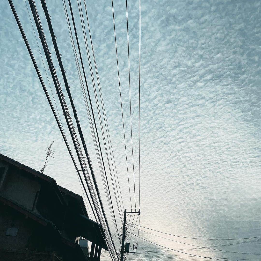 こまけいこのインスタグラム：「今日の空。  羊雲？ うろこ雲？  妹とIKEAに行って、今日は爆買いしようと思ってたけどいちいち、それが無駄遣いなんだよと言われて買う気無くした。 そして、これ安いよ買った方がいいと言われて無駄に時計買ったけど2つもいらなかった。  妹と私は全然性格が違って、仲はいい方だが理解し合えないところは多い。  そしてその妹から、娘のことでムカついてると話したら私にそっくりと言われてさらにムカついてる。  昔、会議してた時になかなか決まらないことがあって、1人の人が「否定から入ったら何も生まれないですよ」と言った言葉がすごく印象に残っててそれから自分は気をつけるようにしている。 確かに、その時できないんじゃない？だめじゃない？と言うことばかり話してて全然決まらなかった。  その言葉聞いて、ハッとした。  人のことを理解するのは難しいことだけど、一旦受け入れることは大事。  まずは、そうだね。 相手の言っていることを受け入れる。 その後に、こういうのもあるよとかこうしたら？と繋げると全然違う。  相手をマイナスにさせてからプラスにするのは難しい。  最初に否定されてしまうとその後の言葉が出ない。 もしくは怒り。  人と付き合うのは難しい。 相手が親でも子でも姉妹でも他人でも同じ。  でも1人で生きていけるわけじゃないし、どうにかうまくやっていく方法を考えながら人と関わっていく。  とてもシンプルなことなんだろうけどむずかしい。 シンプルに生きたい。  #ひとりごと」