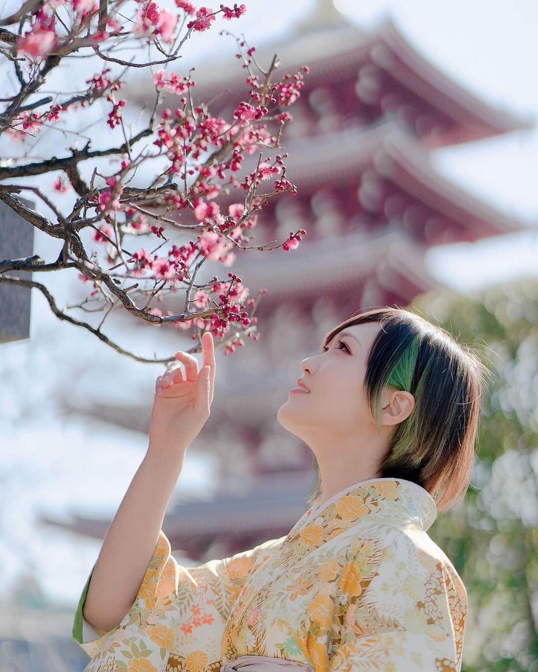 関口愛美さんのインスタグラム写真 - (関口愛美Instagram)「子どもの頃、うちの前が梅林だったので梅の花の匂いは懐かしくもありとても好き…☺️  #着物 #kimono #梅 #梅の花 #japan_of_insta #portrait #portraitphotography #japan_daytime_view #japan_photo」2月10日 20時27分 - sekiguchiaimi