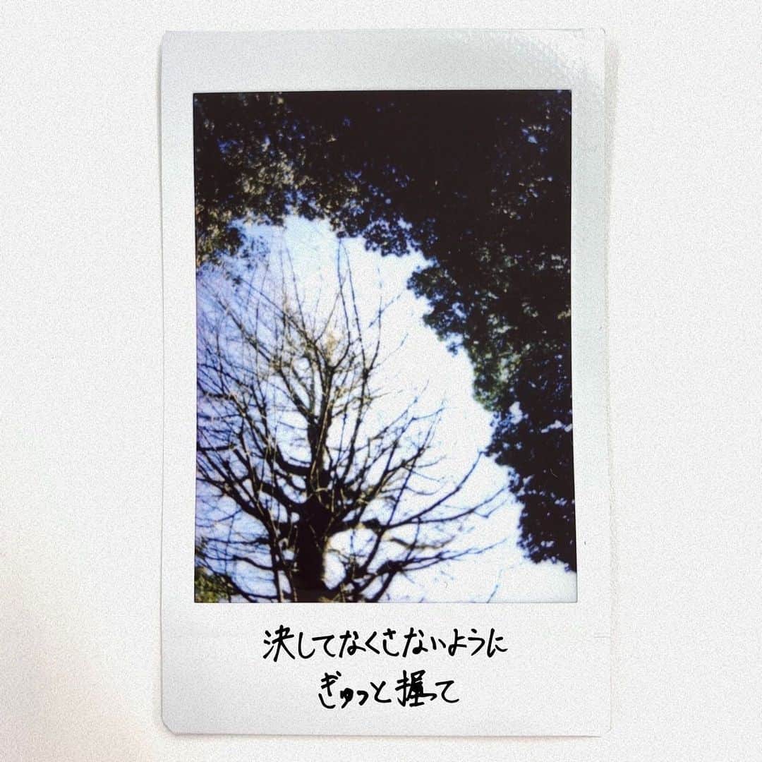 のインスタグラム：「2/11(木)Release「体温」  ずっと離さない 君宛ての想い 大袈裟だと 照れて笑って 君を知るほどまた 臆病になるんだ 決してなくなさいように ぎゅっと握って  #松尾太陽 #ひかれあう体温 #広がれ太陽の輪」