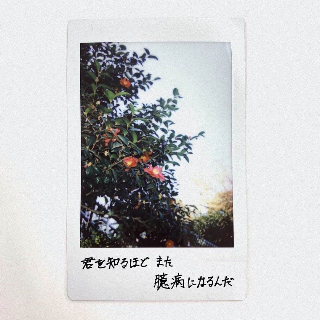 のインスタグラム：「2/11(木)Release「体温」  ずっと離さない 君宛ての想い 大袈裟だと 照れて笑って 君を知るほどまた 臆病になるんだ 決してなくなさいように ぎゅっと握って  #松尾太陽 #ひかれあう体温 #広がれ太陽の輪」