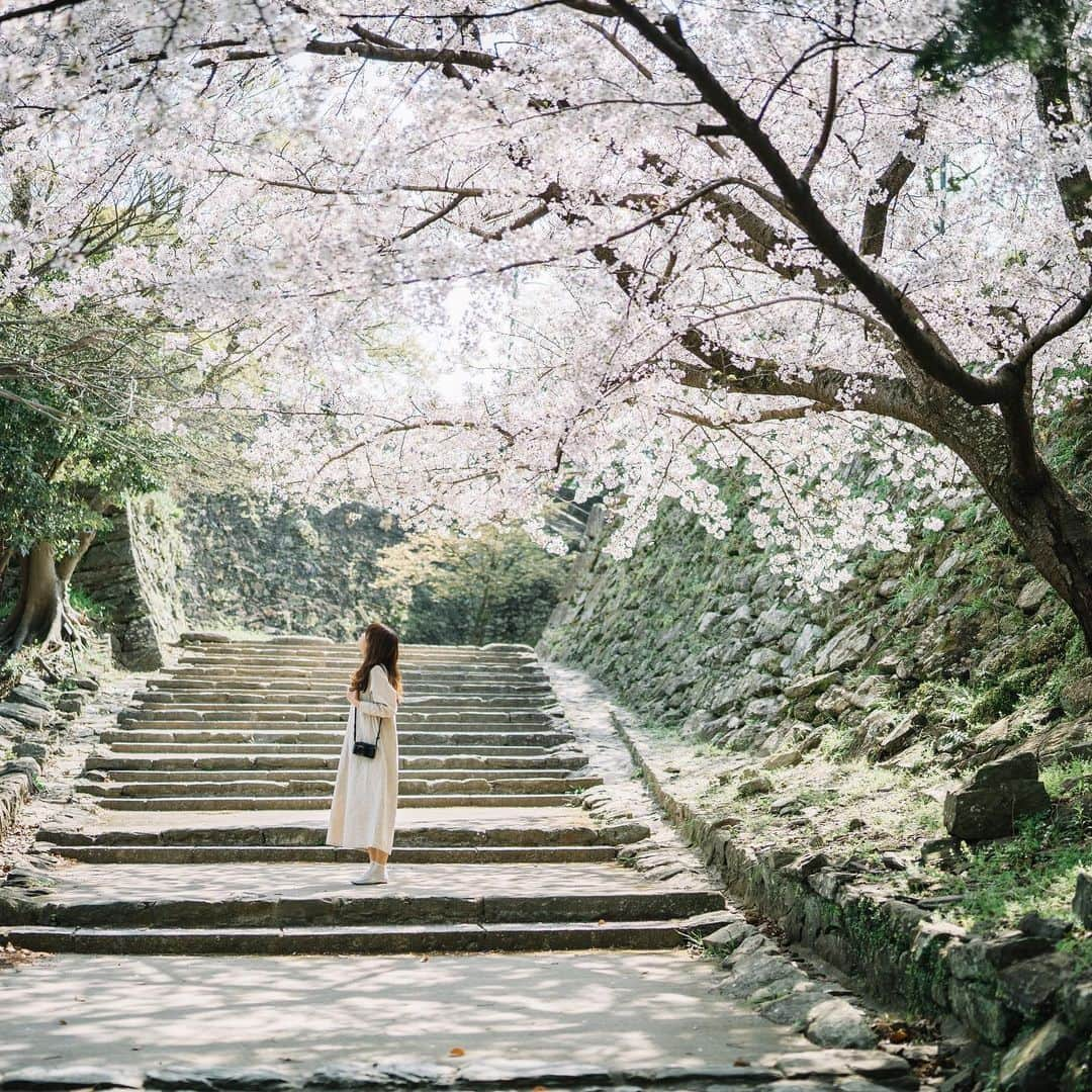 shinichi38さんのインスタグラム写真 - (shinichi38Instagram)「﻿ ﻿ Longing for spring 🌸﻿」2月10日 20時54分 - shinichillout54