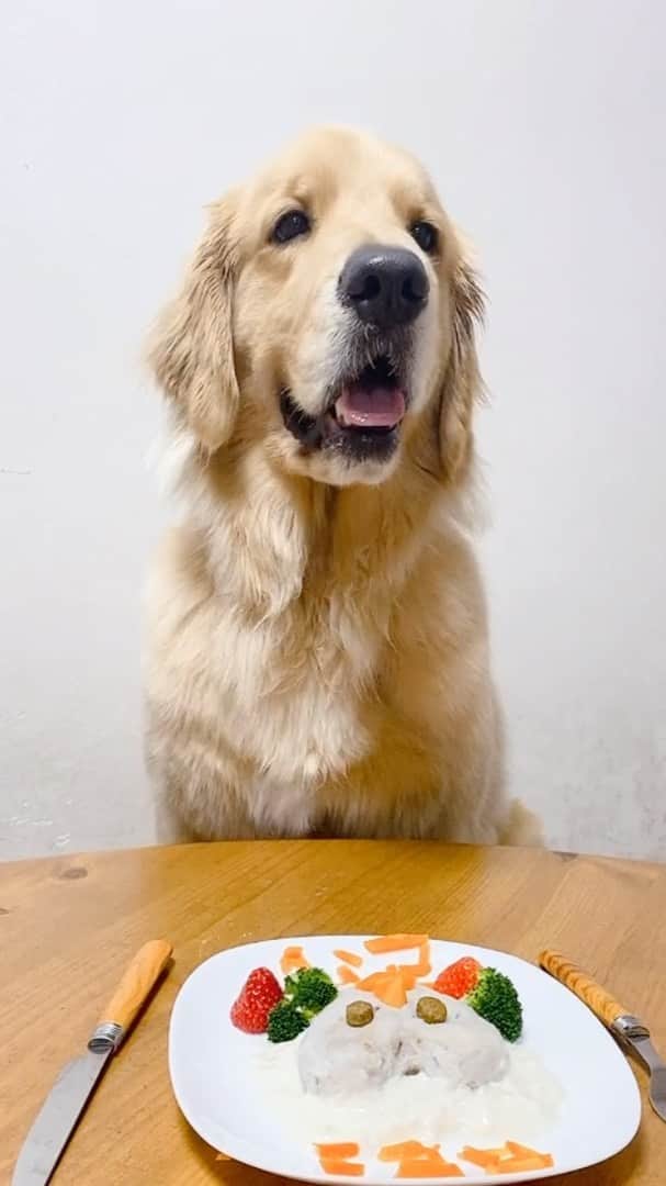 今田美奈のインスタグラム：「BEI's VLOG🏡☁️  #ゴールデンレトリバー #ゴールデンレトリバーのいる生活#犬#いぬすたぐらむ#犬のいる暮らし#大型犬のいる生活#大型犬のいる暮らし#大型犬#レトリバー#goldenretriever#retriever」