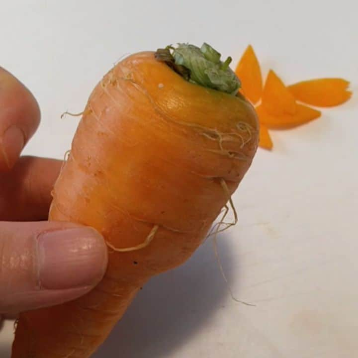 gakuのインスタグラム：「🌸Carrot　petals 1minute lecture もうすぐ春だし、簡単な花びらでもサラダにいかが?  #carving #vegetablecarving #vegetable #carrot #ベジタブルカービング #カービング #野菜アート #野菜彫刻 #野菜」