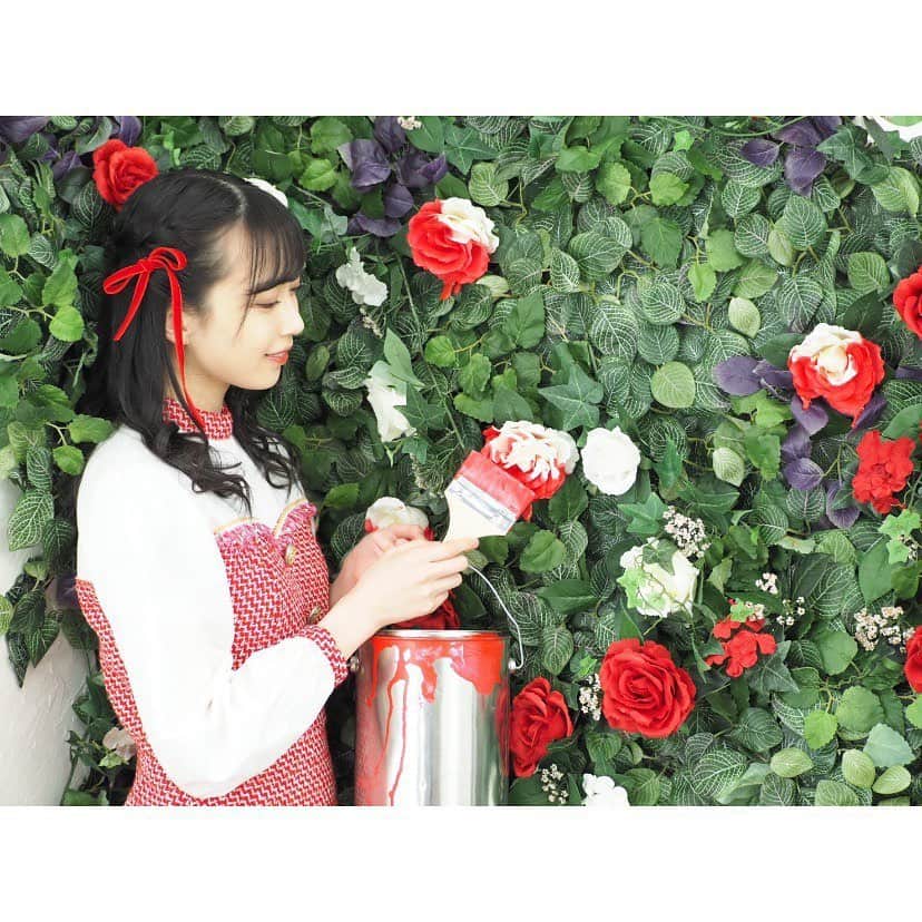 たこやきレインボー公式さんのインスタグラム写真 - (たこやきレインボー公式Instagram)「💗 「バラの花を、赤く塗ろうよ」 「どうして、塗るのよ 白いバラを」  「女王様は赤がお好き。 白バラ植えたら"殺されちゃう"」  #たこ虹 #たこやきレインボー #彩木咲良 #さくちゃん #ayakinstagram」2月10日 22時37分 - tacoyakirainbow0917