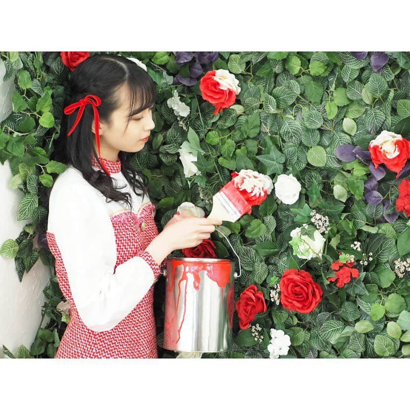 たこやきレインボー公式のインスタグラム：「💗 「バラの花を、赤く塗ろうよ」 「どうして、塗るのよ 白いバラを」  「女王様は赤がお好き。 白バラ植えたら"殺されちゃう"」  #たこ虹 #たこやきレインボー #彩木咲良 #さくちゃん #ayakinstagram」