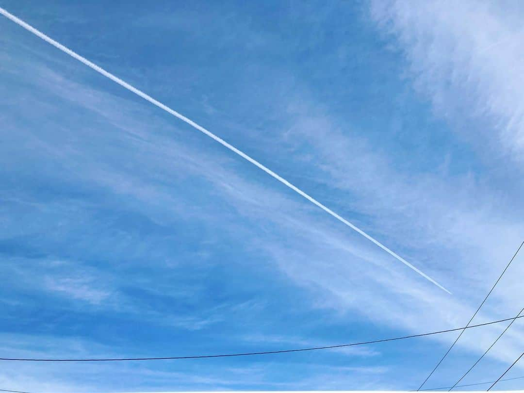 藤沢玲花のインスタグラム：「飛行機雲----✈️  今日の午後、 お庭から見えた飛行機雲。  晴れた空にすーっと伸びるのが 気持ちいいくらい綺麗で 幸せな気持ちになりました☁︎  #飛行機雲　#幸せのおすそ分け　#空」