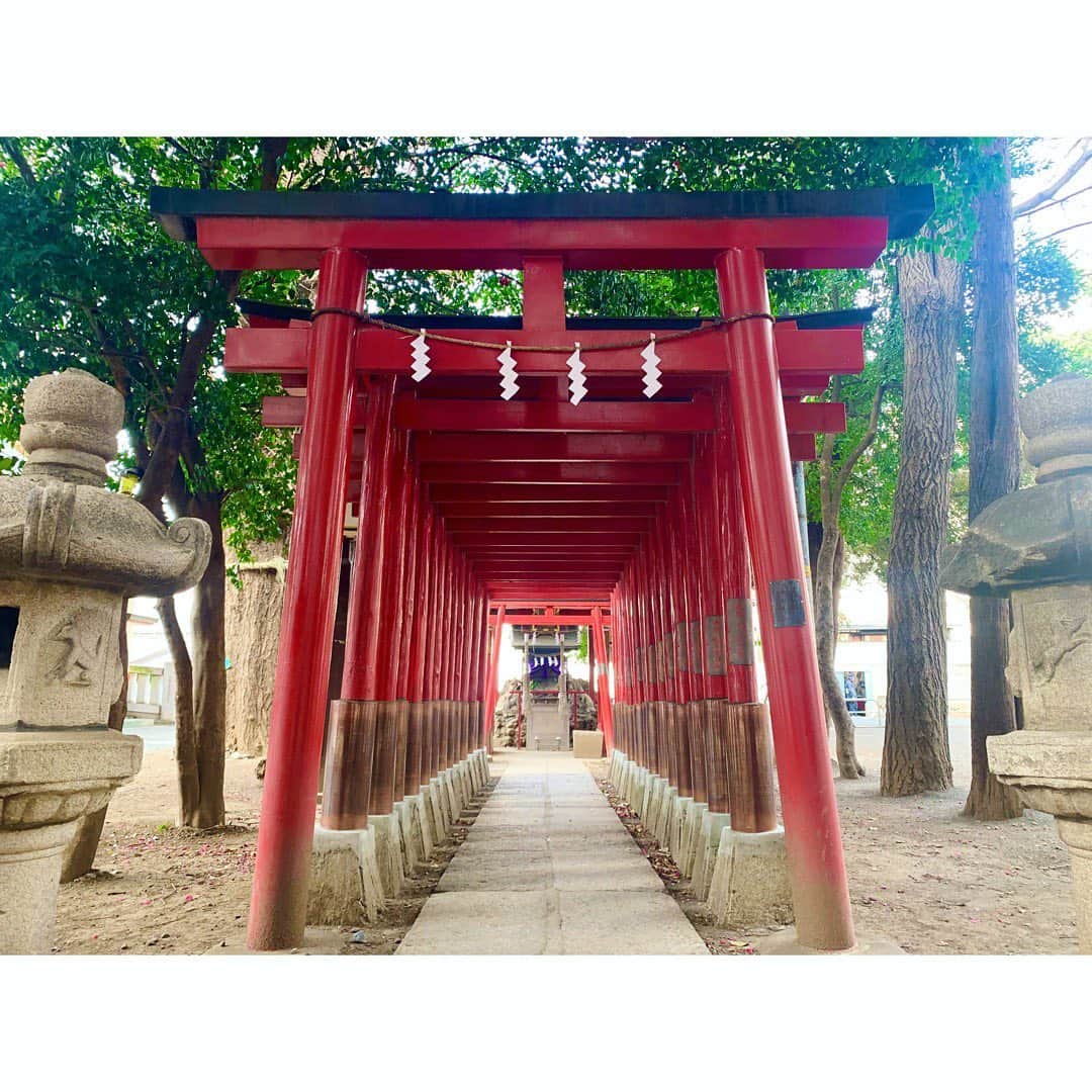 平岡映美さんのインスタグラム写真 - (平岡映美Instagram)「本日2月10日で、 Instagramを始めて2年です！ ・ いつも応援してくださる皆さま、本当にありがとうございます。 ・ 皆さまに感謝を込めて。 #花園神社　の芸能浅間神社にてお詣りを🌸⛩ ＊ #平岡映美 #感謝」2月10日 23時23分 - eimi_hiraoka_official