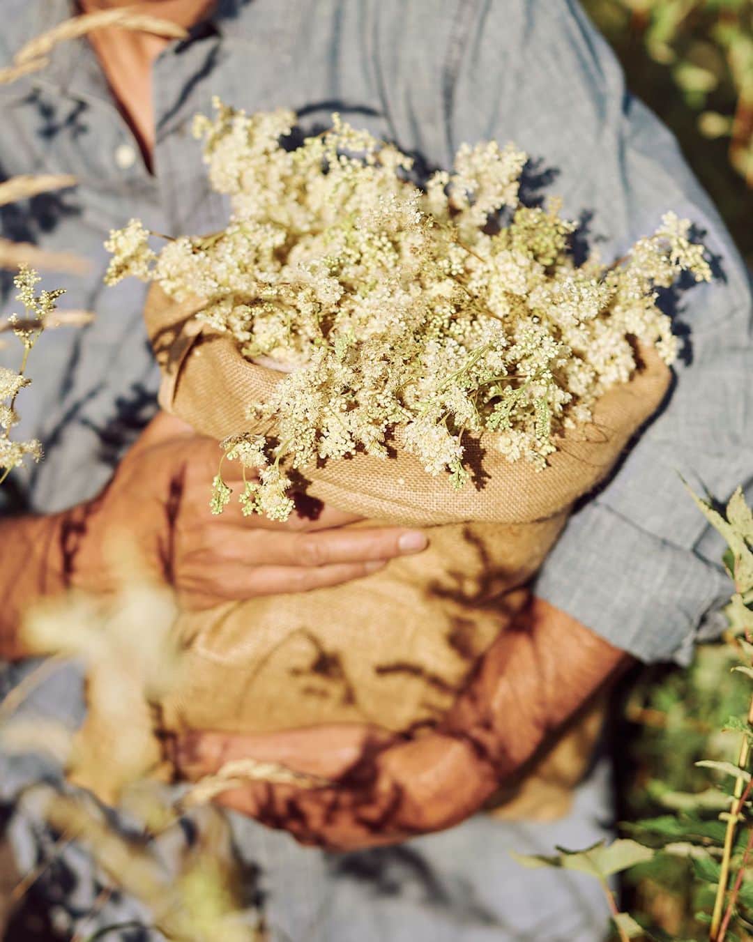 のインスタグラム：「Fresh from the meadow 🌱Committing to preserving biodiversity is essential. Our meadowsweet picker has earned a 100% eco-certification for practicing wild picking. 🌾This encourages nature to intertwine and thrive together to create incredibly powerful plants for our products. ✨  #Meadowsweet #Nature #Biodiversity #Organic #Sustainability #LOccitane」