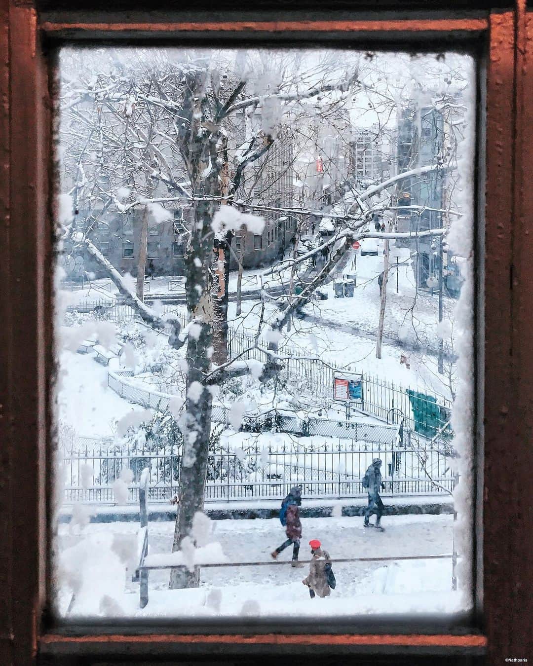 nathparisさんのインスタグラム写真 - (nathparisInstagram)「THROUGH THE WINDOW ❄️ . Un nouveau jour sous la neige ⛄️  Bonne journée 💛 . A new day in the snow ⛄️ Have a nice day 💛」2月10日 23時39分 - nathparis