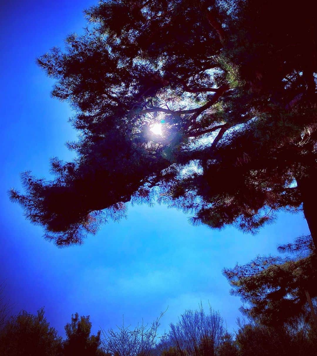 羽原信義のグルメインスタ