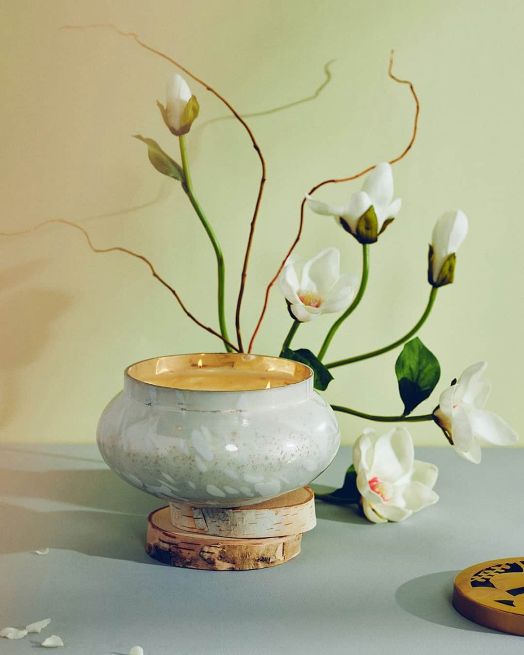 のインスタグラム：「🌼 Giveaway Time! 🌼 Meet our NEW Night Gardenia candle – then make it yours! Enter for a chance to win a scent layered with fragrant gardenia, salted guava & soft tonka 😍  To enter, like this post, follow this account and @AnthroLiving, then use #AnthroGiveaway and tag a friend who's as in love with candles as you are!」
