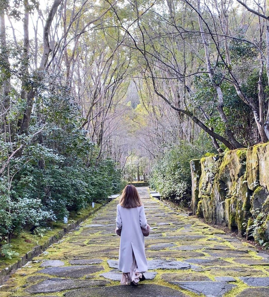 長谷川朋美さんのインスタグラム写真 - (長谷川朋美Instagram)「@aman_kyoto の世界観がツボ過ぎる🥺  お部屋やレストランだけだったら ラグジュアリーホテルだよね、って感じで もちろん素敵だけど、まぁ普通で、  個人的には敷地内を散策した 世界観が自然×京都×禅って感じで 素晴らしいと思いました✨  マインドフルネスな時間。 内側から感謝と愛が溢れる感覚…。  ちなみに敷地内を隅々まで見るなら 一周1時間かかるらしー。  （私はトレッキングコース 以外は全て回りました♫）  この感覚、写真や動画で伝わるといいなー🥺  良かったら一昨日あげた リールを音付きで見てください✨  #kyoto #aman #アマン京都 #japan #zen #和 #京都 #mindfulness」2月11日 0時07分 - hasegawa.elena.tomomi