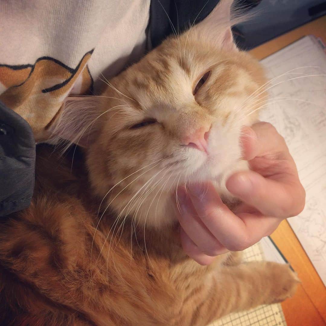岡田屋鉄蔵のインスタグラム：「今日は引っ付きたい日のようです。」