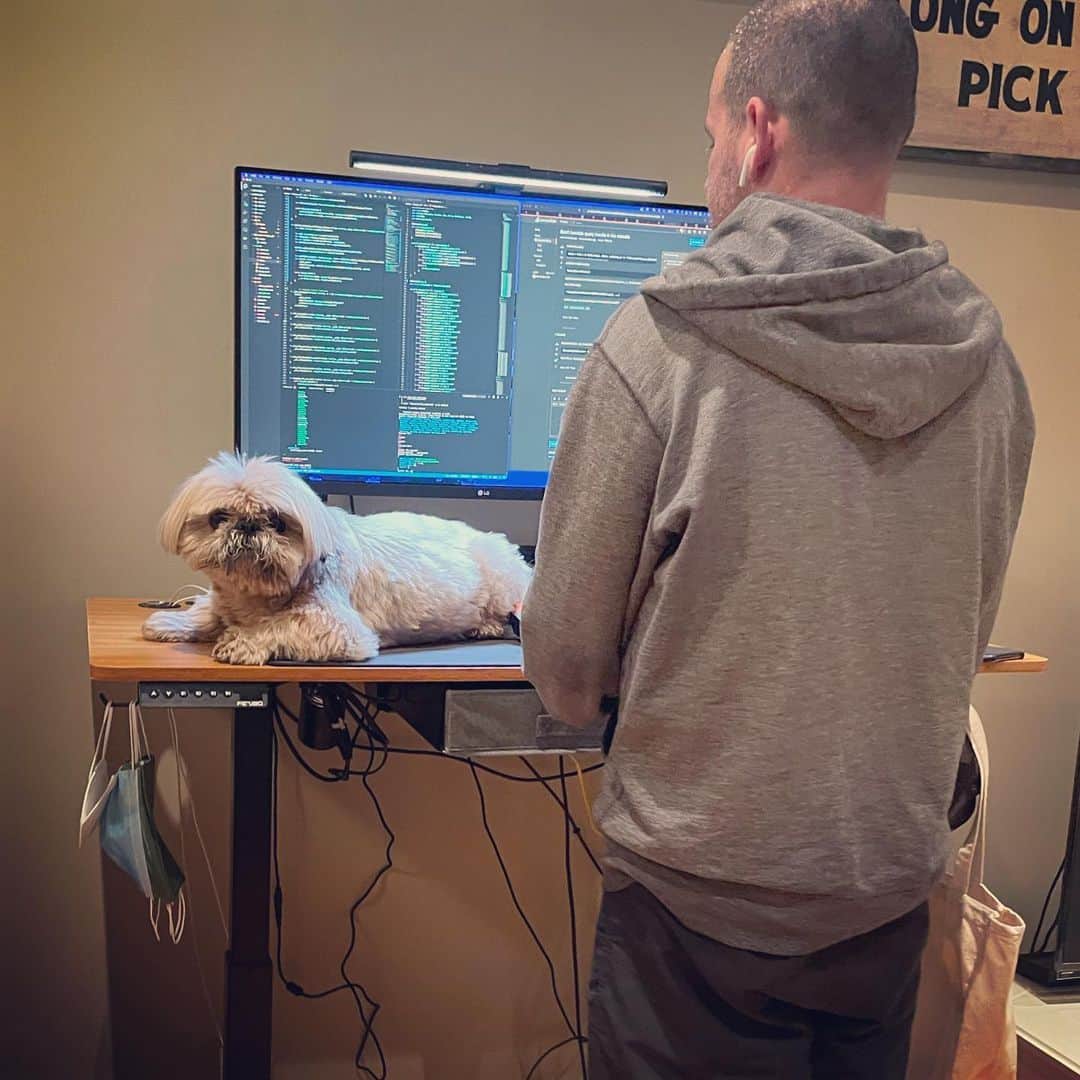Dougie the Shih Tzuのインスタグラム：「Stand-up Shih Tzu desk.」