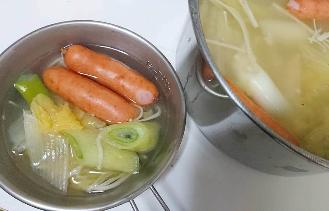 桜花のインスタグラム：「今日は鍋🌷🌷  シェラカップで食べて山キャンプ気分🍀ハピピーン✨  野菜を煮ていくだけで 栄養とれるし あったまる、、🍀  無性に野菜が食べたくなって鍋にしましたが、 鍋最高だと改めて実感🌷  #鍋  #鍋すごい  #野菜 #シェラカップ #部屋キャンプ  #山 #あったか  #ごはん #とりだし鍋」