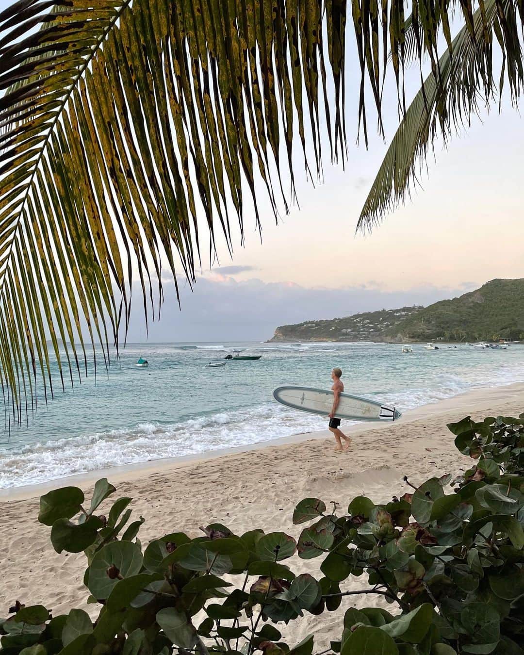 コーディー・シンプソンのインスタグラム：「Tropical splendour in the French Caribbean. Train hard, relax hard!」