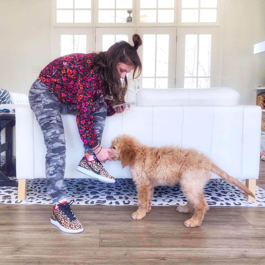 Angie Keiserさんのインスタグラム写真 - (Angie KeiserInstagram)「shoelaces > dog toys  more prints > less」2月11日 3時15分 - 2sisters_angie