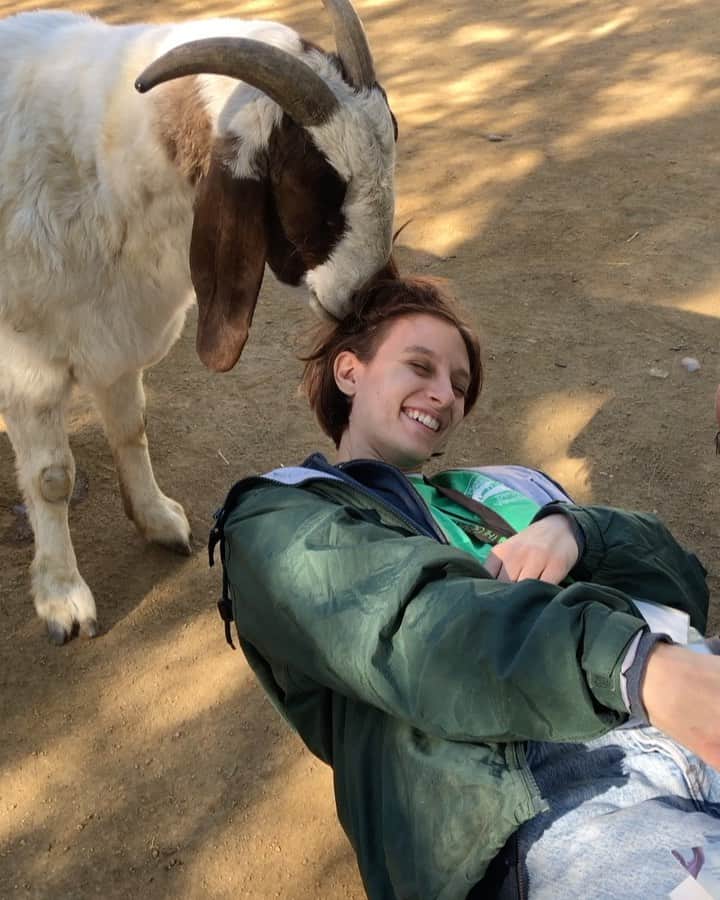 オーブリー・ピープルズのインスタグラム：「so thankful to have gotten to spend a few years cuddling Braveheart and Sundance. The love and laughter they brought not only to me but to hundreds of people I witnessed was truly transformational and healing. we will miss you sweet buddies. rest in peace earth angels 💜💜💜 *Braveheart is the white/brown goat with horns. He would often get so relaxed when being pet/brushed that he would pee like a lil puppy  *Sundance is the blonde goat without horns and with his signature overbite. He was feisty and always running around looking to play or cause some trouble. He loved to scratch his head on broom handles and reusable water bottles *cameo appearance by Sundance’s partner in crime, my girl @rubyornotruby」