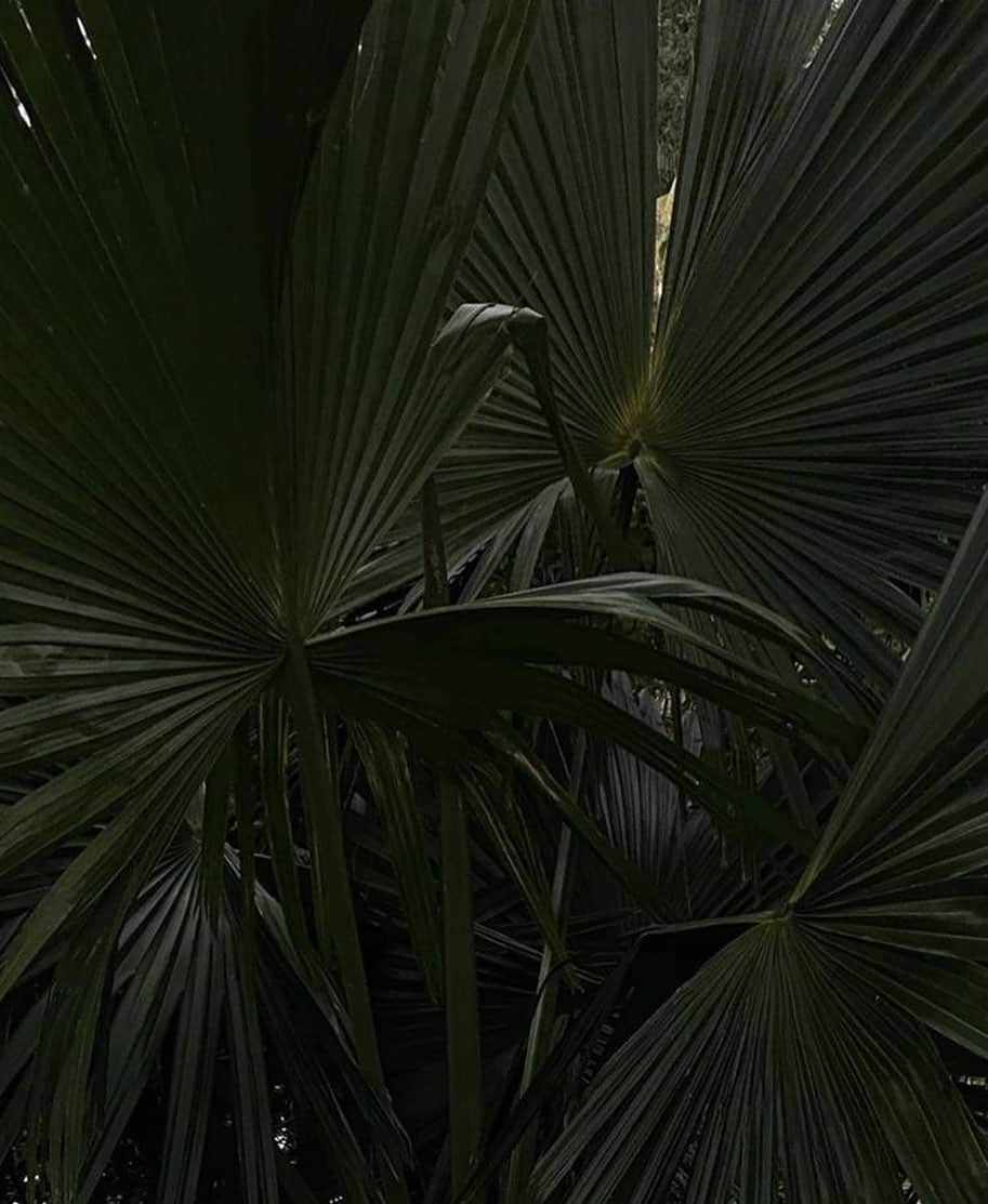Mara Teigenのインスタグラム：「Headed somewhere tropical, can you guess where ?」