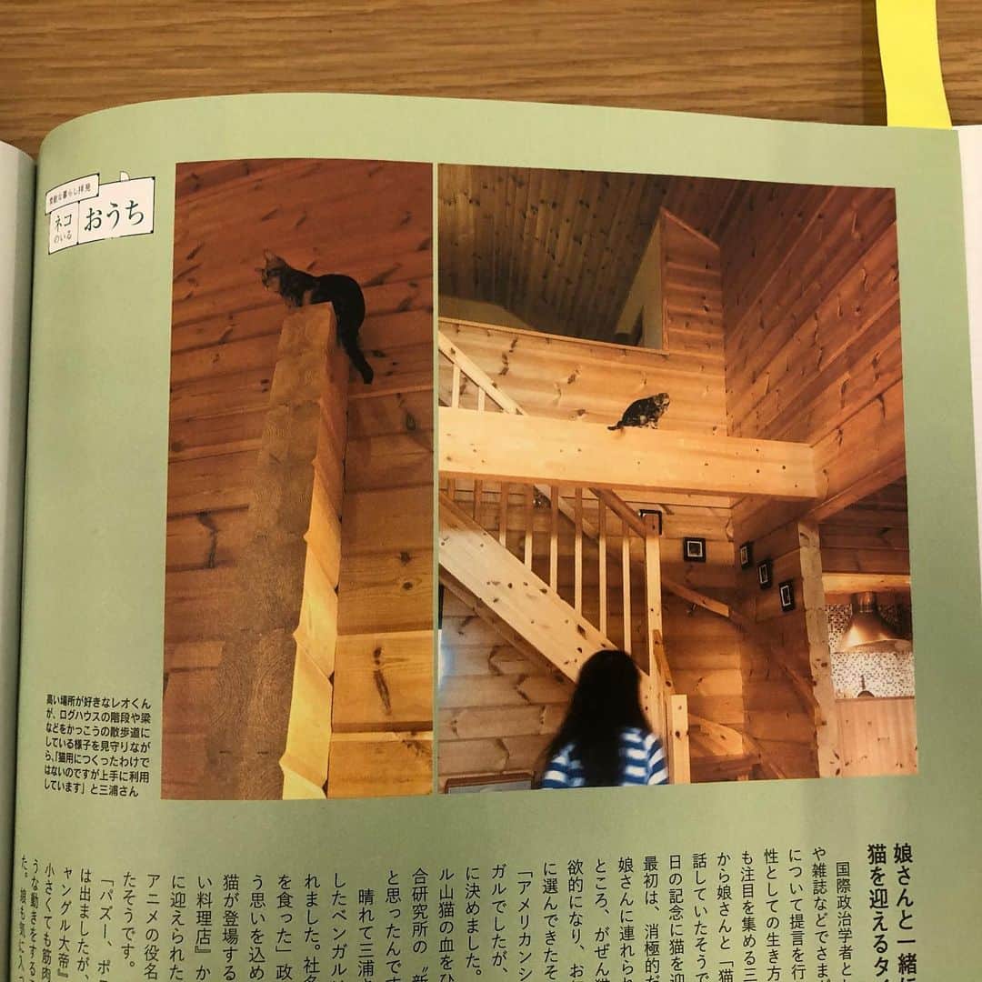 三浦瑠麗さんのインスタグラム写真 - (三浦瑠麗Instagram)「ねこのきもち、3月号に登場してます。 レオくん写真がたくさん！」2月11日 13時08分 - lullymiura