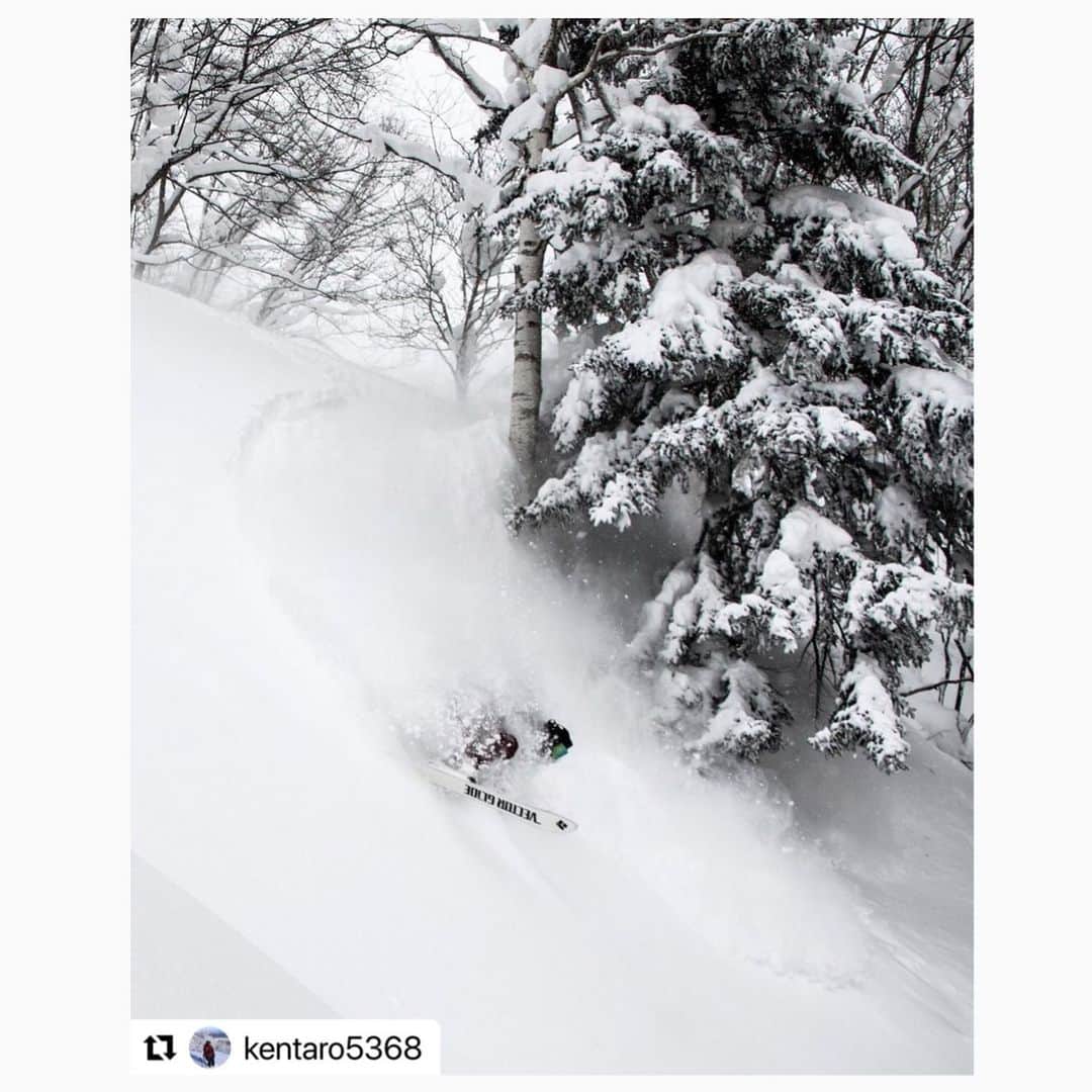 遠藤尚のインスタグラム：「やっぱり右足全く使えてない笑 雪の上にいるだけで有難い🙏  #Repost @kentaro5368 with @make_repost ・・・ session💨 @shoendo7  #ski #skiing #freestyle  #freestyleski #freeride #freerideski #powdersnow  #powder #pow #japow #snowfall #vectorglide  #patagoniasnow #patagonia  #photobyme  @shoendo7  #shoendo7 @vector_glide  #vectorglide @jazzysport  #jazzysport @patagonia  #patagonia @patagoniasendai  #patagoniasendai @hestragloves  #hestragloves @newera  #newera @newerajapan  #newerajapan @7bridge  #7bridge @KSP #KSP @WJM #WJM  #遠藤尚」