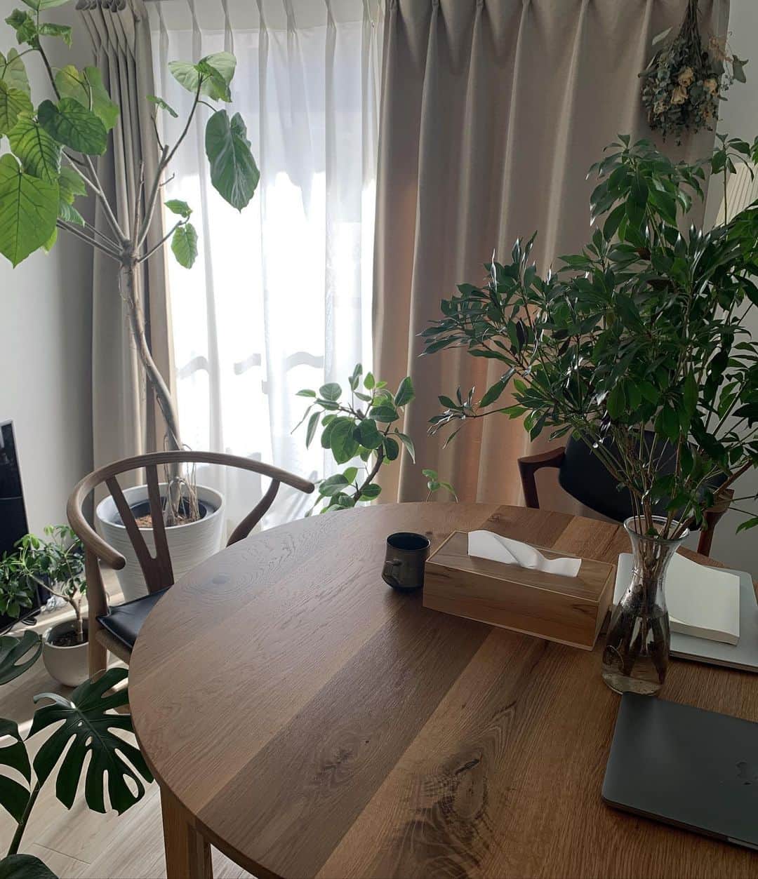 のインスタグラム：「#diningroom 🌳  森みたいになってきた我が家のダイニング🌿  邪魔かな~と思いながらも 枝木をテーブルの上に置いてみたら🌿大正解! 今まで以上に心地いい☕️☺️✨  ・ ・ ・  #観葉植物インテリア #枝木 #結婚式で使ったもの #ヴィンテージ家具 #yチェア #丸テーブル #椅子好き #北欧家具 #デンマーク家具 #椅子 #インテリア家具 #我が家の癒し #楽天ルーム #kaikristiansen #kaikristiansenchairs #nonameparish #denmarkfurniture #인테리어그램 #의자」