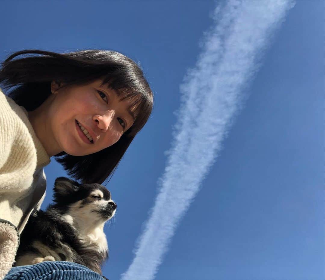 のインスタグラム：「おはようございます☀ 昨日の空☁️飛行機雲かな。 空を見上げる事の多い一日でした☺️✈️ 今日も、良い一日をお過ごしください🍀😷😊 #空#雲#山#ドッグラン#田舎暮らし#千葉暮らし#犬のいる暮らし#チワワ#チワマル#chihuahua #maltese #mixdog #doglover #dogstagram #山羊の声 山の中のドッグラン🏔 ヤギの声が響いています〜✨🐐 このドッグラン、先客イノシシが遊んでる事があるんですってー😲🐗よく見てから入らねば！😂 ヒバリとウグイスの合唱の季節もまもなくかな☺️🌸🕊✨大好きな場所で、みんなのびのび(*^ω^*)🌱」