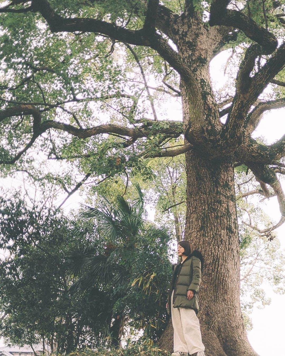 Yuichi Nataのインスタグラム：「・ ・ #こんな毎日をありがとう  ・ ・」