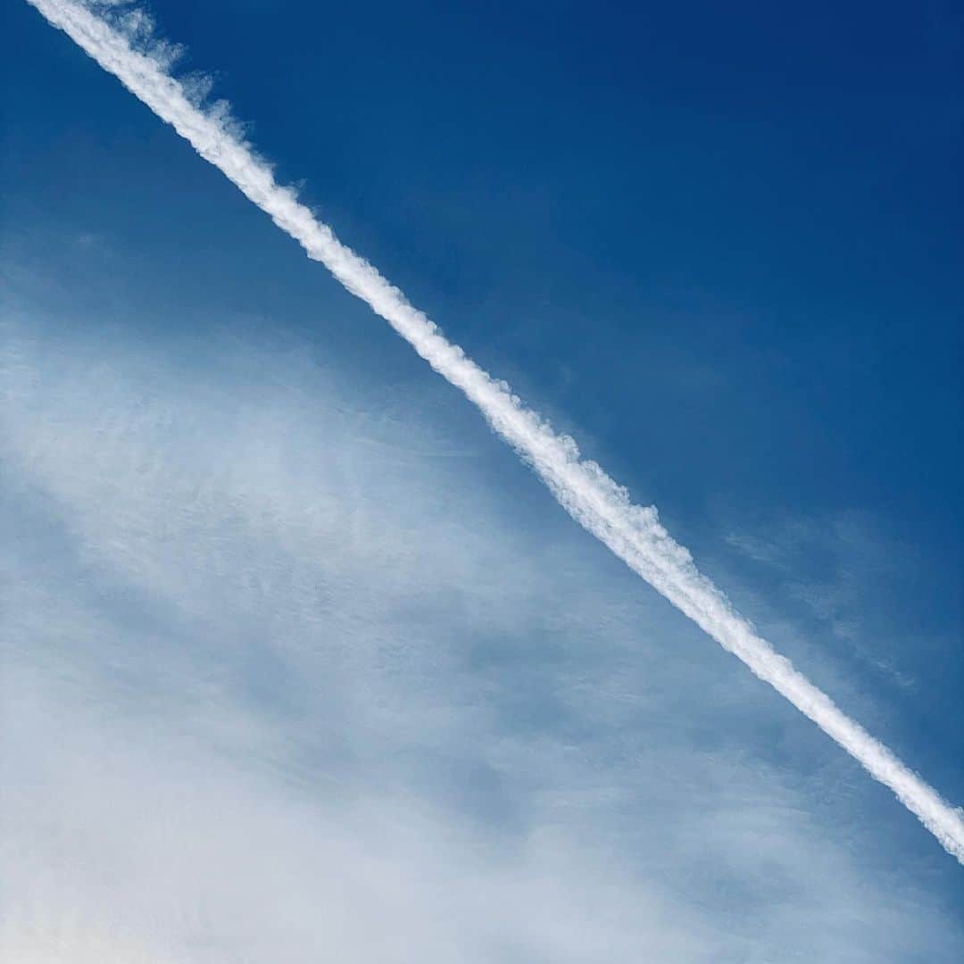 中野敬久さんのインスタグラム写真 - (中野敬久Instagram)「#sky #lookup #contrail #blue #white #hikoukigumo」2月11日 7時42分 - hirohisanakano