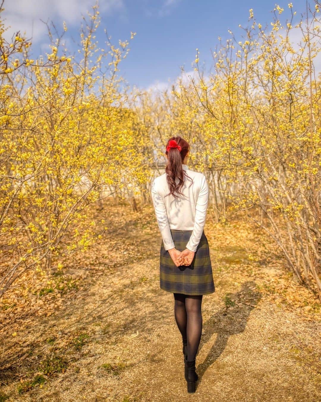 内田有理のインスタグラム：「延命院って三豊市、めちゃ近所なのに初めて行きました✨ そうです、年末に髪色赤になりました💡10年ぶり？の赤、液の進化に感動✨ カメラのレンズ変えて凄い事に笑　ほんと細いよ😏🤫 camera　@naoki.sw」
