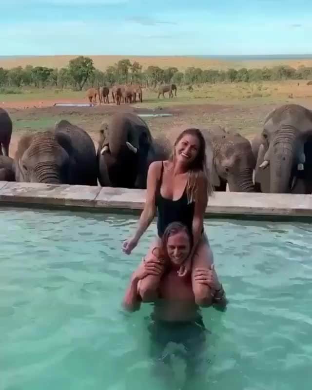 2.8 Milllon CAKESTERS!のインスタグラム：「Follow @top_luxuries and explore amazing locations and luxuries from around the world!⁠ .⁠ .⁠ Have you encountered elephants up close? 😍⁠ ⁠ 📽 @positravelty⁠ 📍 South Africa」