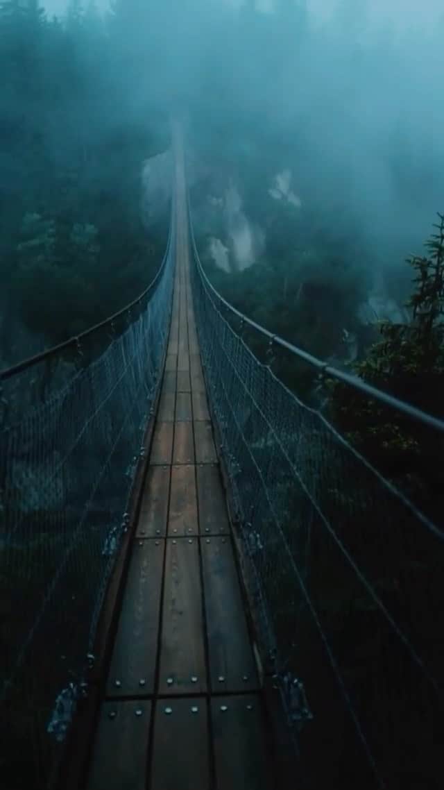 instagoodのインスタグラム：「@lotter_live Foggy days in Switzerland🌲」