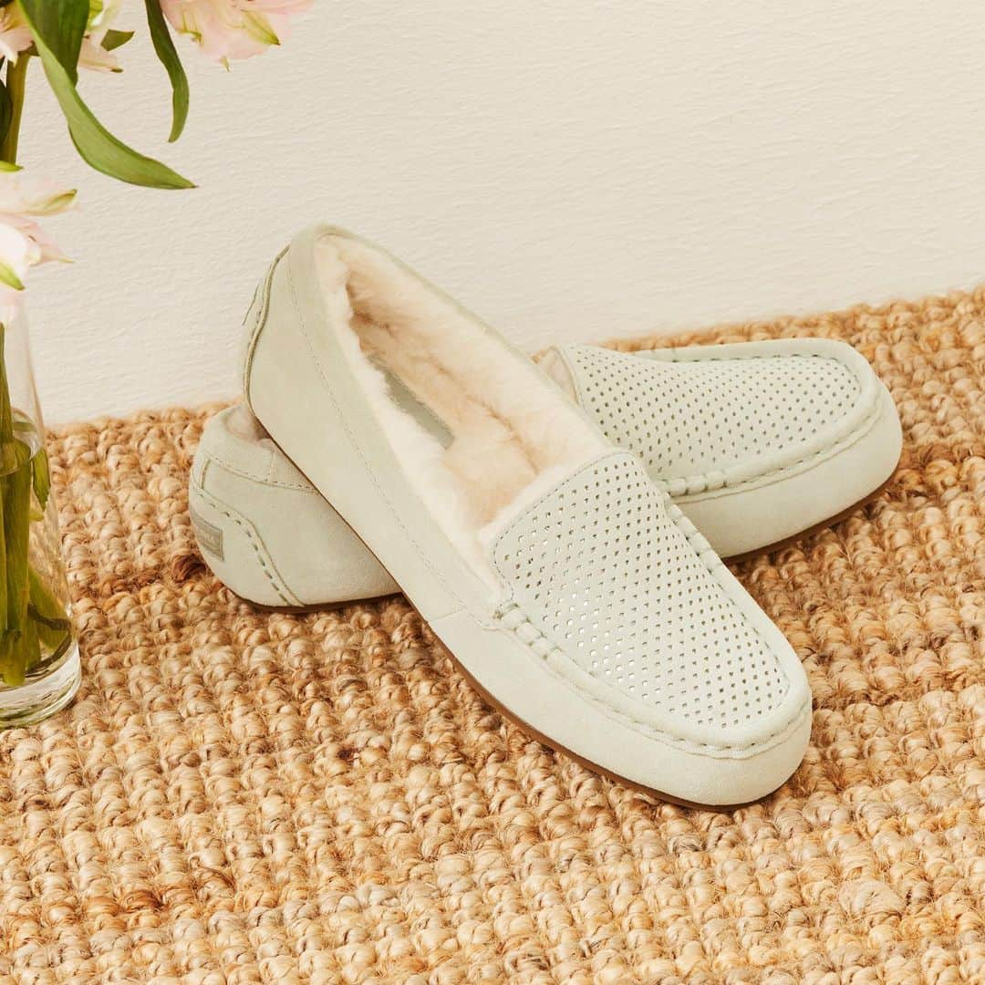 クーラブラのインスタグラム：「Everyone’s favorite slipper got a slight update! The ultra plush, comfy-cozy Lezly Perf is available in the freshest Spring colors...💚☁️ #koolaburra #koola」