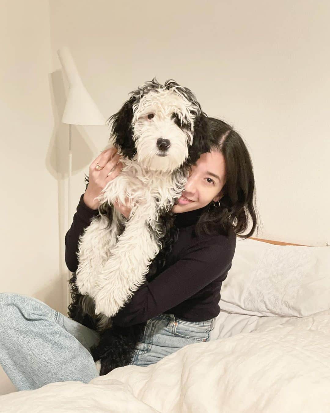 のインスタグラム：「娘とダリ。 #シュヌードル#シュナプー #子犬#schnoodle #doodle#puppy」