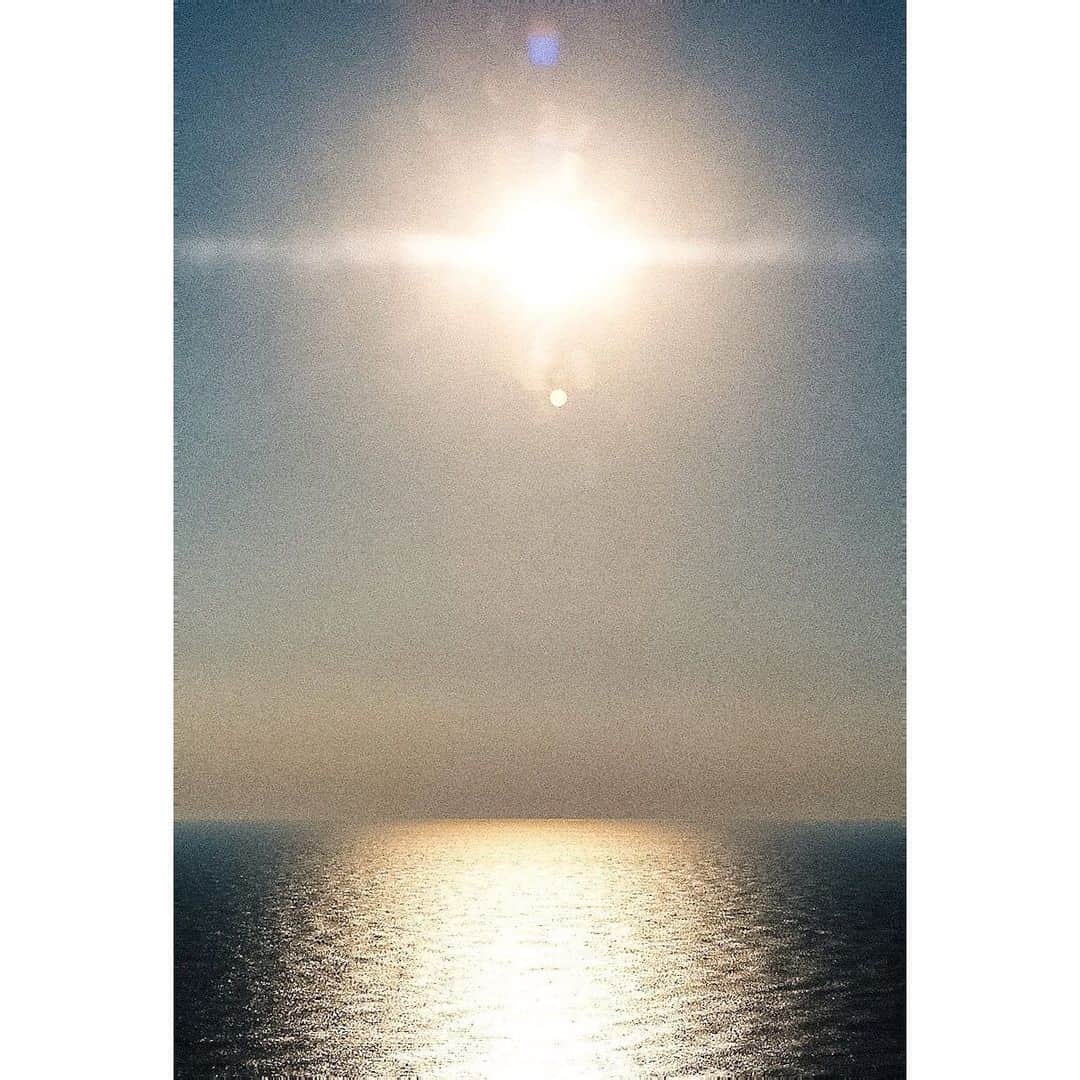 鈴川博紀さんのインスタグラム写真 - (鈴川博紀Instagram)「The sun. #fujifilm #superia400」2月11日 10時40分 - hirokisuzukawa