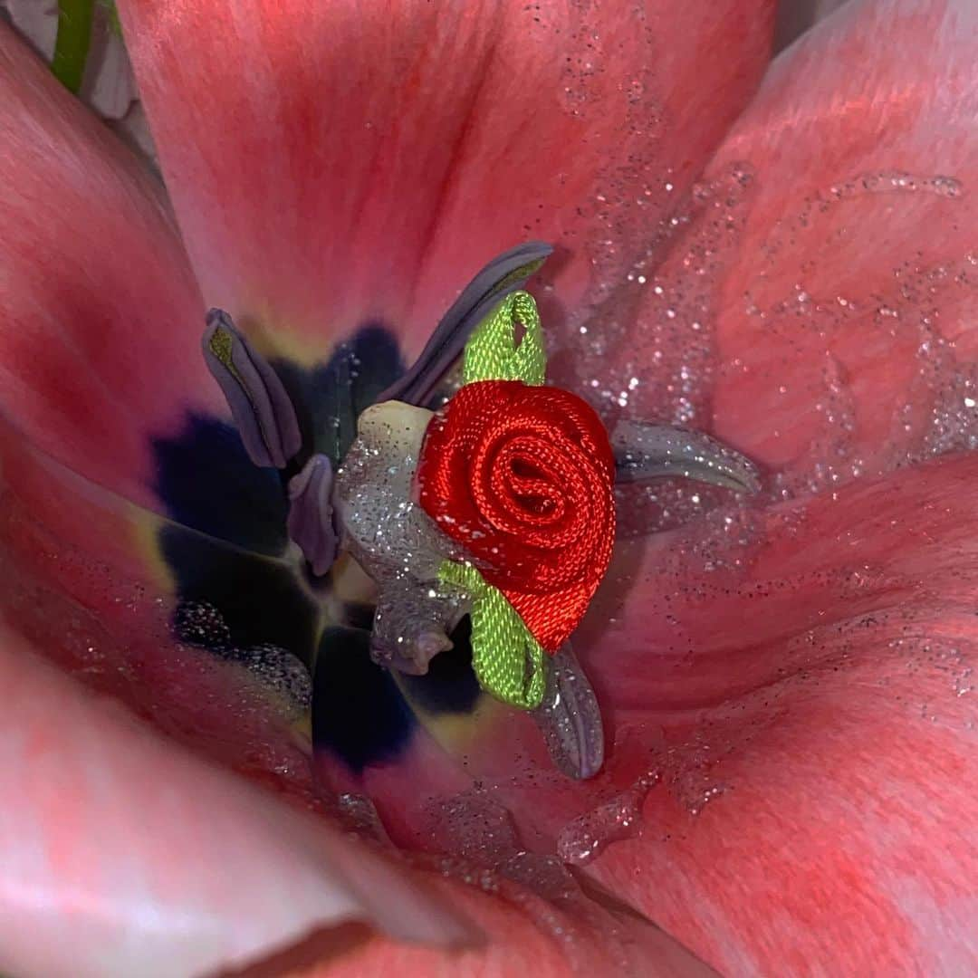 브렌다플라워さんのインスタグラム写真 - (브렌다플라워Instagram)「🌷💔🌹」2月11日 10時49分 - thestudioofflowerart