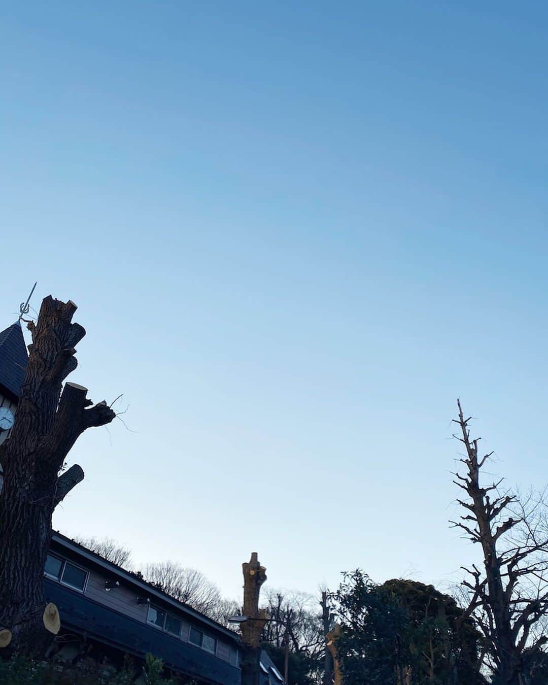 市川海老蔵 （11代目）さんのインスタグラム写真 - (市川海老蔵 （11代目）Instagram)「The trees look cold too, and there’s me tending to glance at the sky   Morning walk... * 木も寒そうやね、  ついつい 空を眺めてしまう わたし  朝さんぽ、、  #市川海老蔵 #海老蔵 #成田屋 #歌舞伎  #和 #日本文化 #ABKAI #ABMORI #ebizoichikawa #ebizo #kabuki #kabukiza #thunderparty #ebizotv #theater #theaterarts #actor #japan #classic  #kabukiactor」2月11日 10時57分 - ebizoichikawa.ebizoichikawa