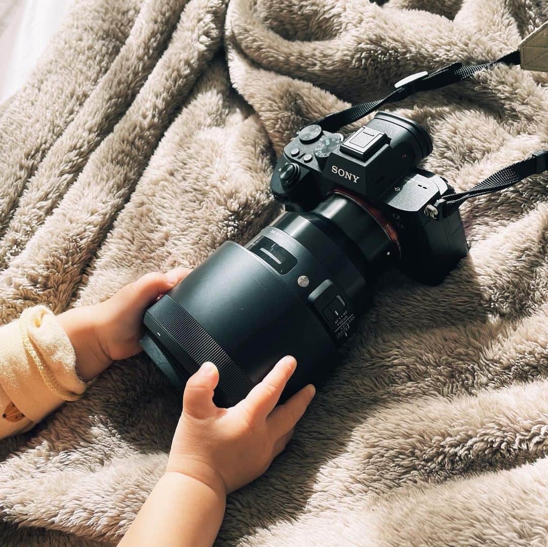 のインスタグラム：「仲間が増えました☺︎ #sigma135mmart #135mmf18」