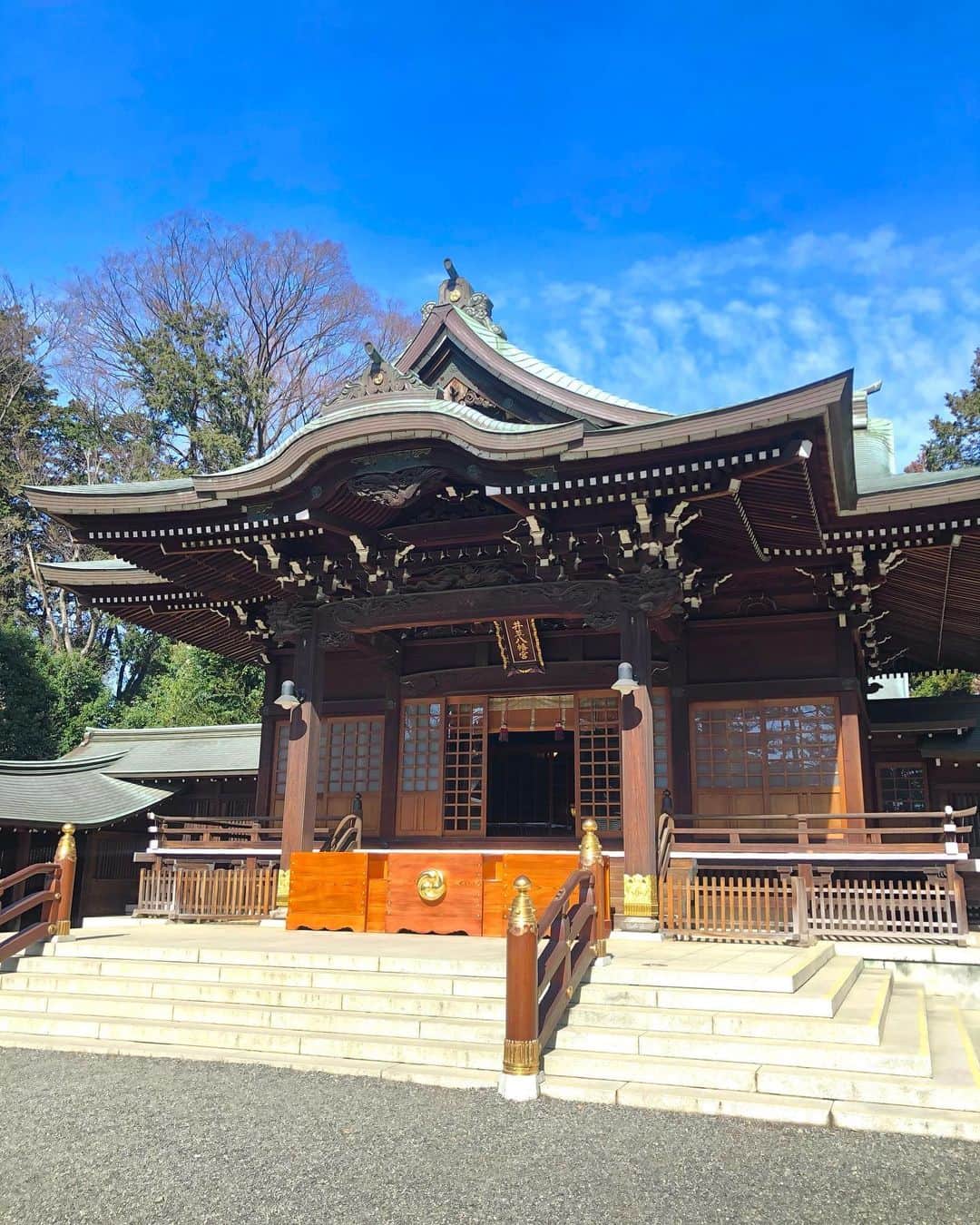 のインスタグラム：「初詣⛩ おみくじは小吉。 心静かに時を待てとのこと！  #快晴  #テクテク散歩」