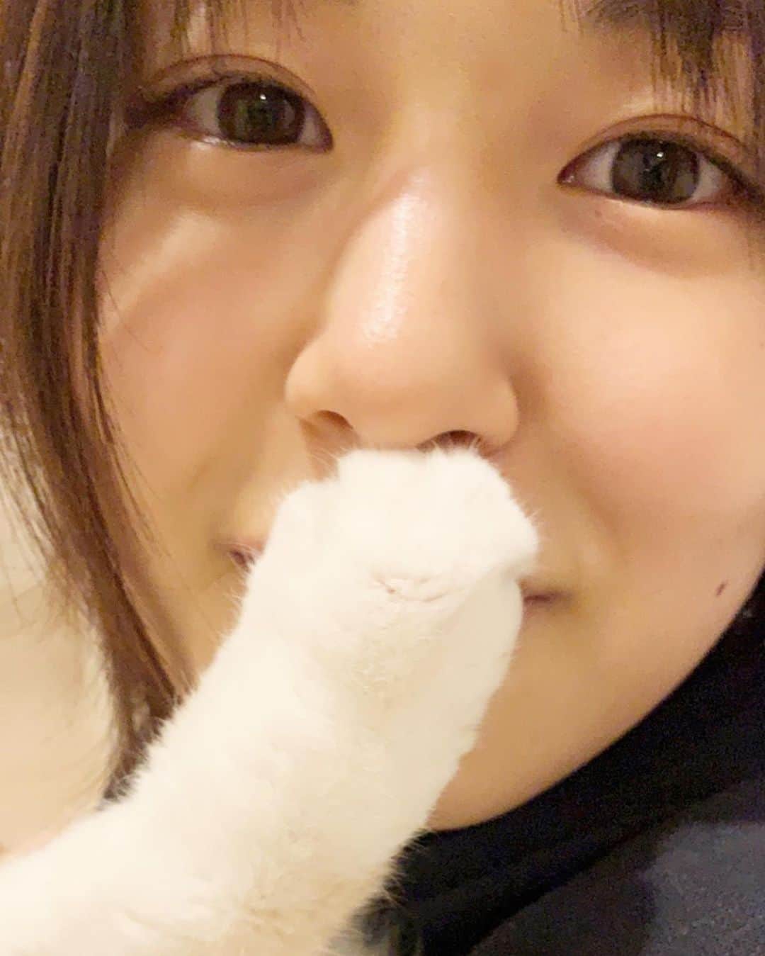 竹内愛紗のインスタグラム：「🐾 断固反対！👊🏻 ぴょんちゃんにNOされちゃいました😅 それでも嬉しい私です😊  #頑張れぴょんちゃん#猫の手も借りたい#そんな時もあるよね#🐱」