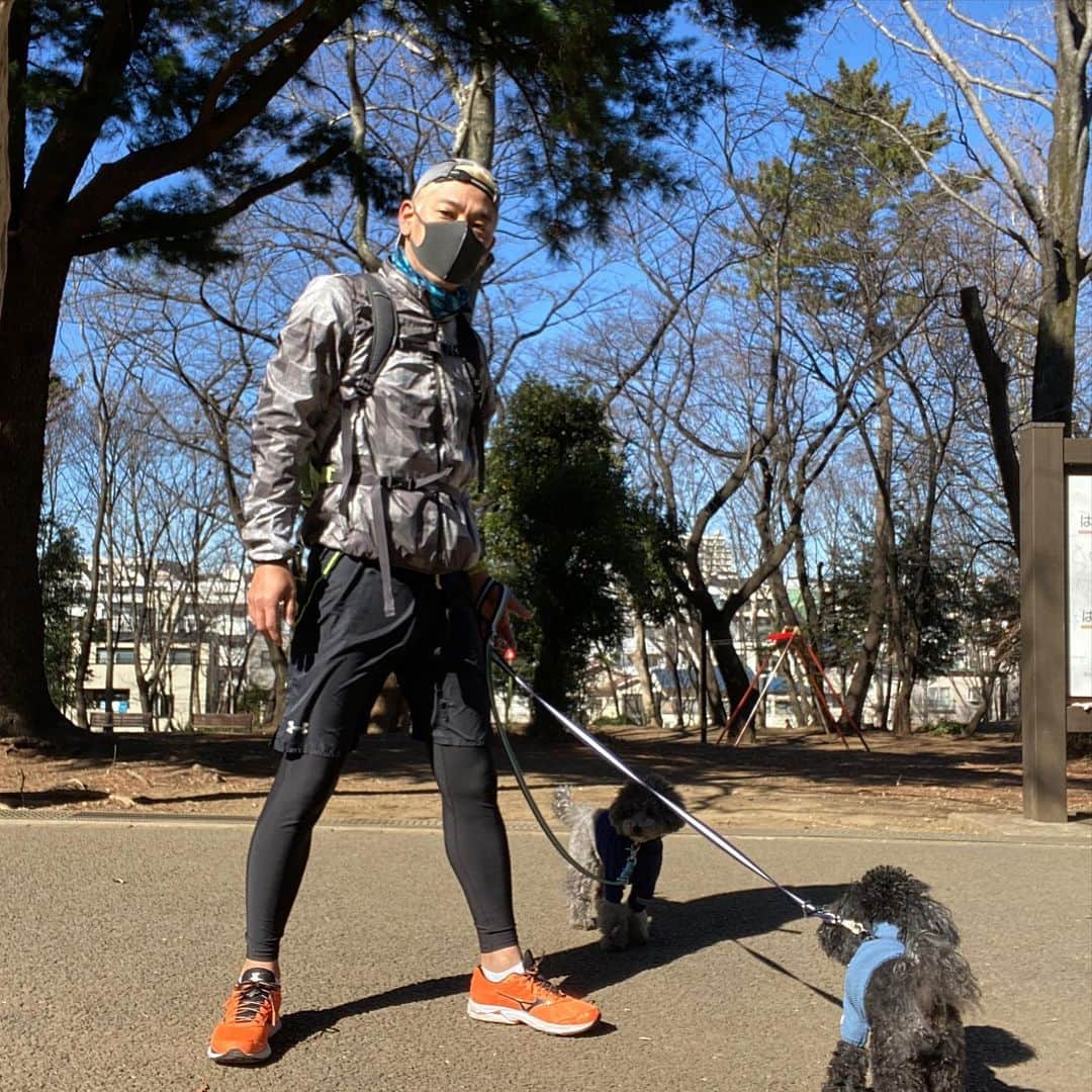 田村亮のインスタグラム：「もう、梅が🌸 #ランニング #犬散歩 #時々走る程度 #梅が咲いてたら写真撮るおじさん #冬は犬に服を着せるおじさん #犬のフン背負って普通の顔おじさん」