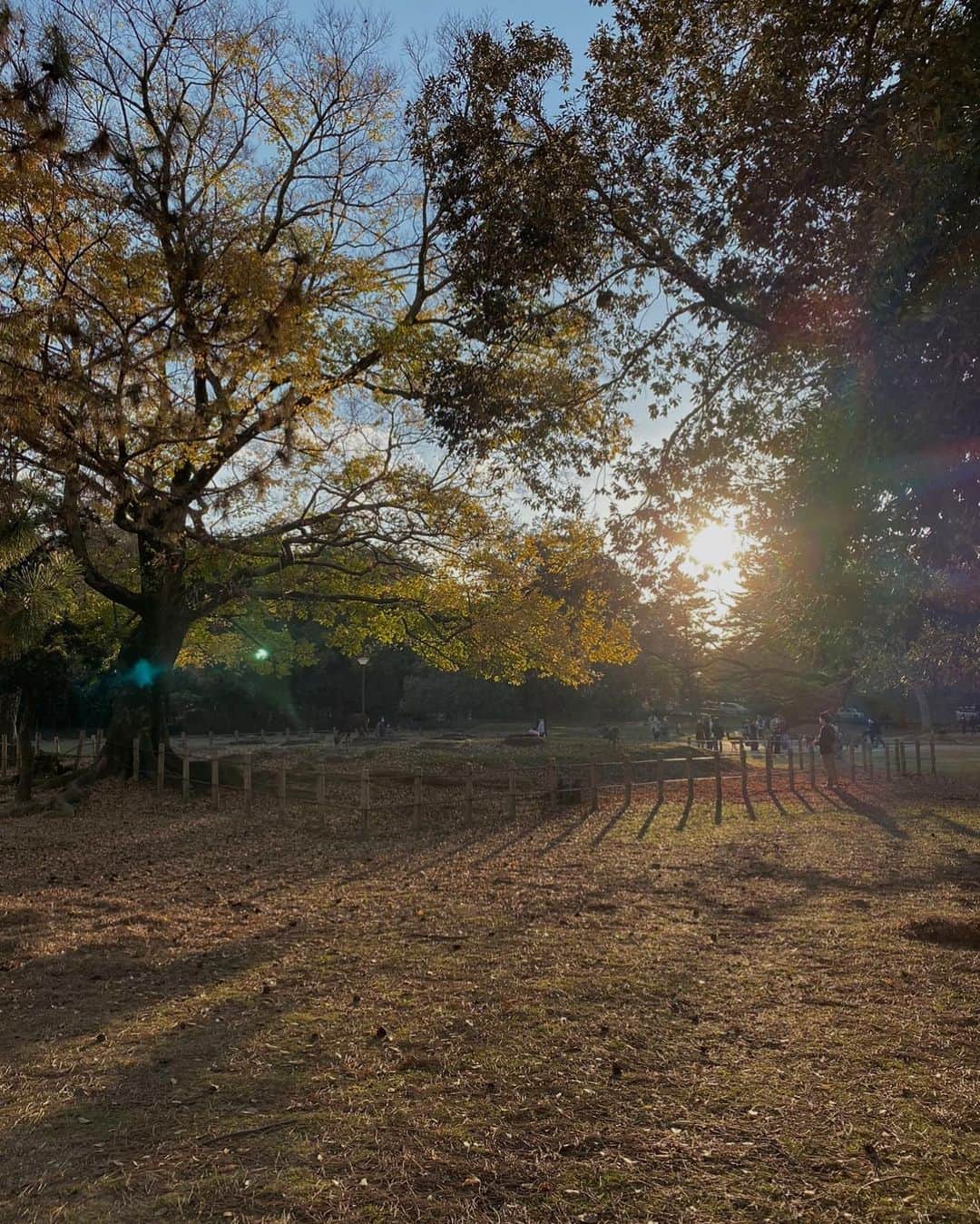 丸山クルミのインスタグラム：「☀️✨🤍」