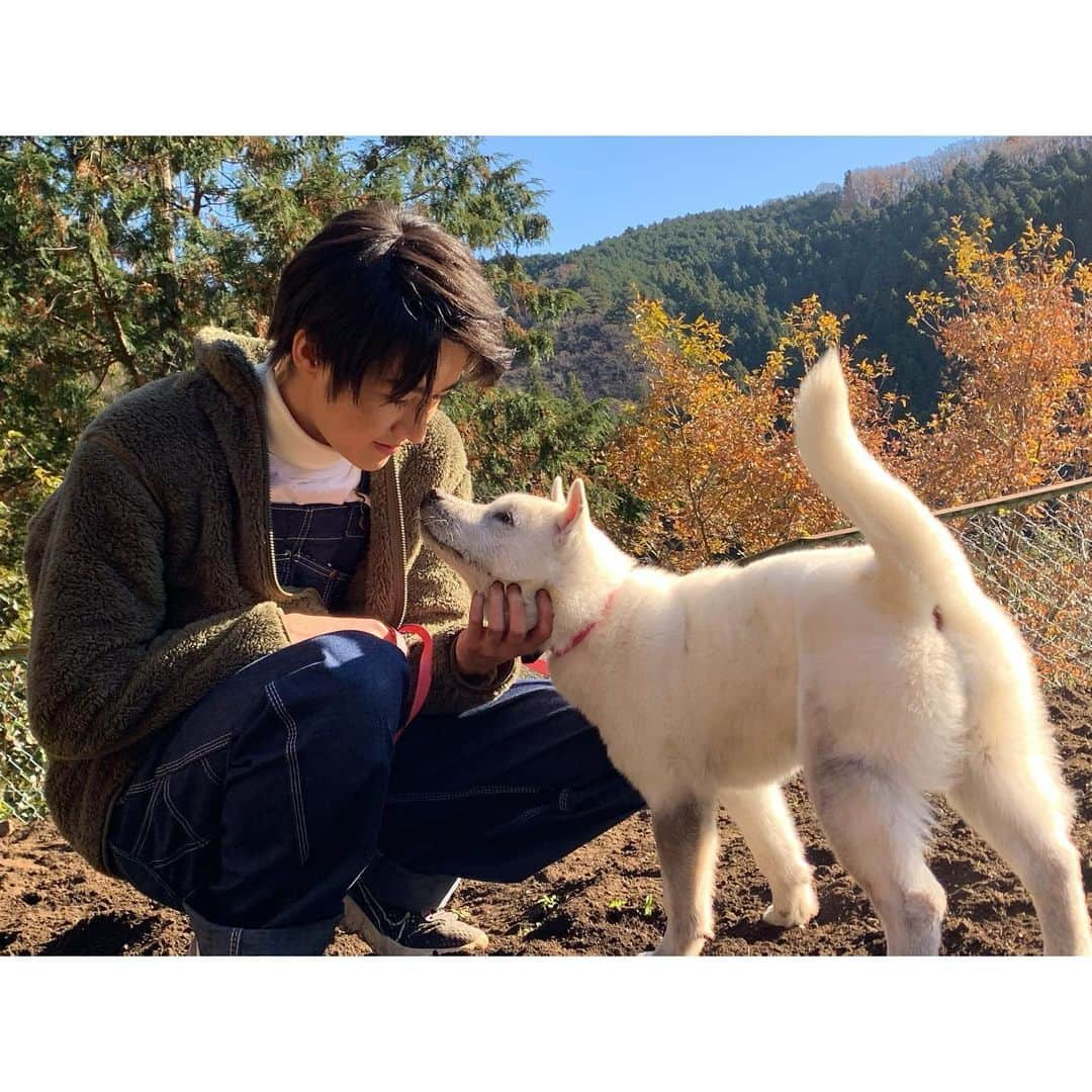 藤岡弘、さんのインスタグラム写真 - (藤岡弘、Instagram)「⭐︎⭐︎  明日2/11(木)﻿15:50から 日本テレビで放送される、﻿ ﻿ 「I LOVE みんなのどうぶつ園/世界一受けたい授業・合体傑作選」﻿ ﻿ の中で、藤岡ファミリー総出演‼️﻿ 「天然記念物!日本犬を育てる」 の新春SPの回が、﻿再放送されます🎶﻿ ﻿ ぜひお見逃しなく⭐️﻿ ﻿ ﻿ 「ILOVEみんなのどうぶつ園公式YouTubeチャンネル」 ﻿ でも、﻿YouTubeだけの、 かわいすぎる日本犬🐕の様子と、﻿ 子犬たちにメロメロ😍になったり、 しつけに奮闘する藤岡ファミリーの様子を見ることができます。﻿ ﻿ ﻿ ぜひ合わせてお楽しみください🤗  @minnano_zoo_ntv   #藤岡弘、#HiroshiFujioka #藤岡ファミリー#family #天翔愛 #AiTensho #藤岡真威人 #MaitoFujioka #天翔天音 #AmaneTensho #藤岡舞衣 #MaiFujioka #iloveみんなのどうぶつ園 #みんなのどうぶつ園 #dog #japanesedog #日本犬 #北海道犬 #秋田犬 #紀州犬 #柴犬 #四国犬 #甲斐犬 #hokkaido #akita #kishu #shibainu #shikoku #kai」2月11日 11時32分 - hiroshi_fujioka_official